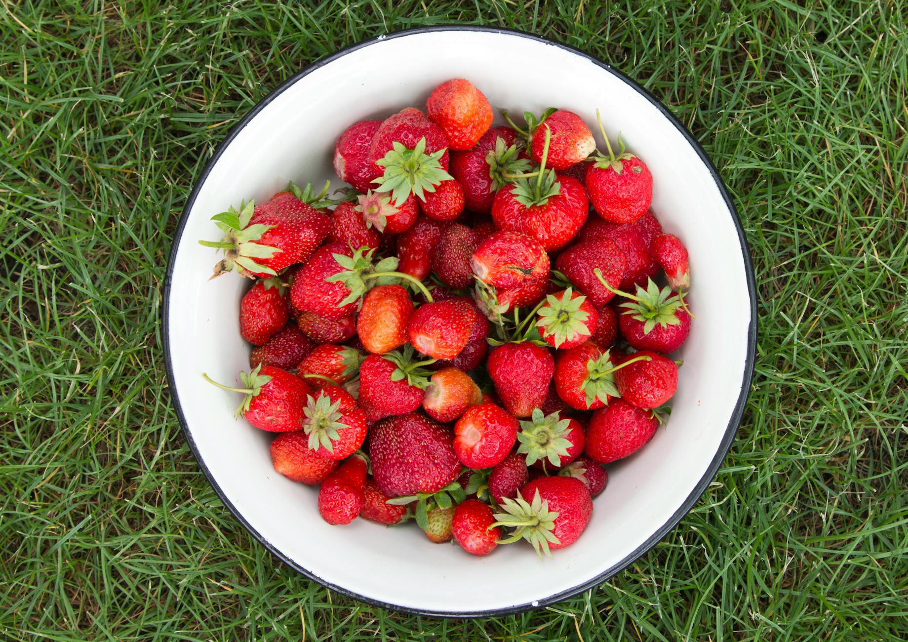 From Farm to Fortune: How a Healthy Berry Snack Startup Attracted Billion-Dollar Backing and Elite Investors