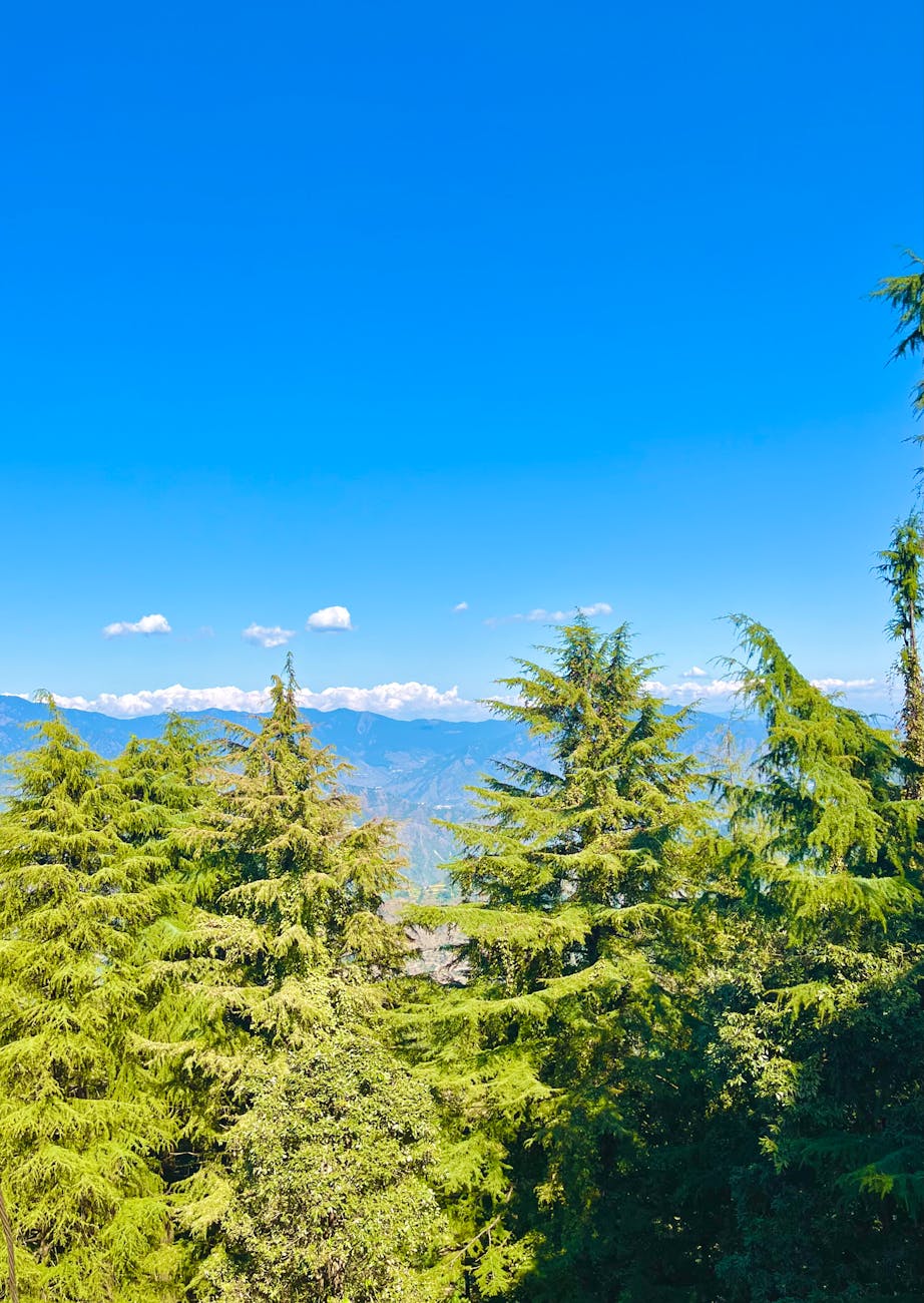 Digital Storm Brews: Widespread Microsoft Cloud Service Disruption Shakes Business Operations