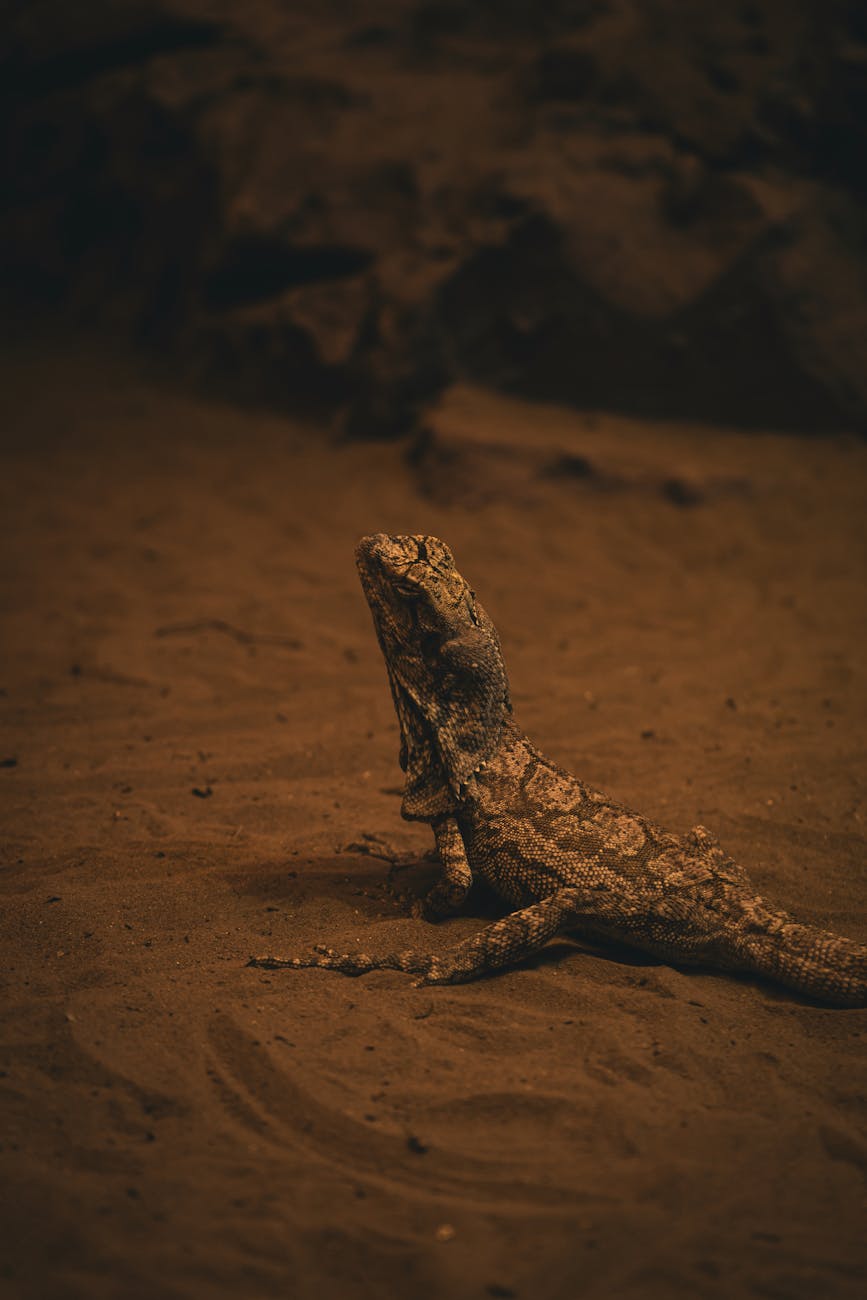 Forced VR Dino Deathmatch: Unveiling 2025’s Most Brutal Survival Competition
